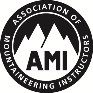 AMI Logo Black
